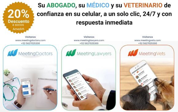 Banner MeetingPROS V xpx