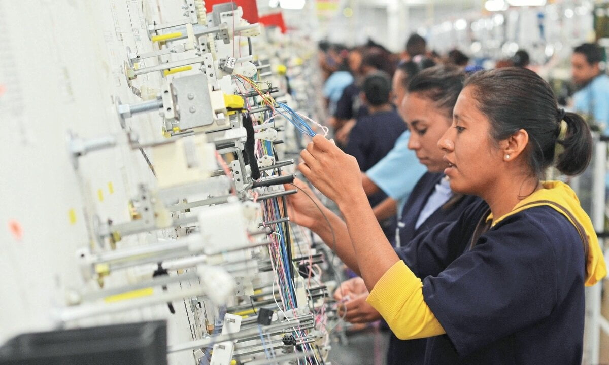 Reforma de explotación laboral: 4.8 millones trabajan más de 56 horas a ...