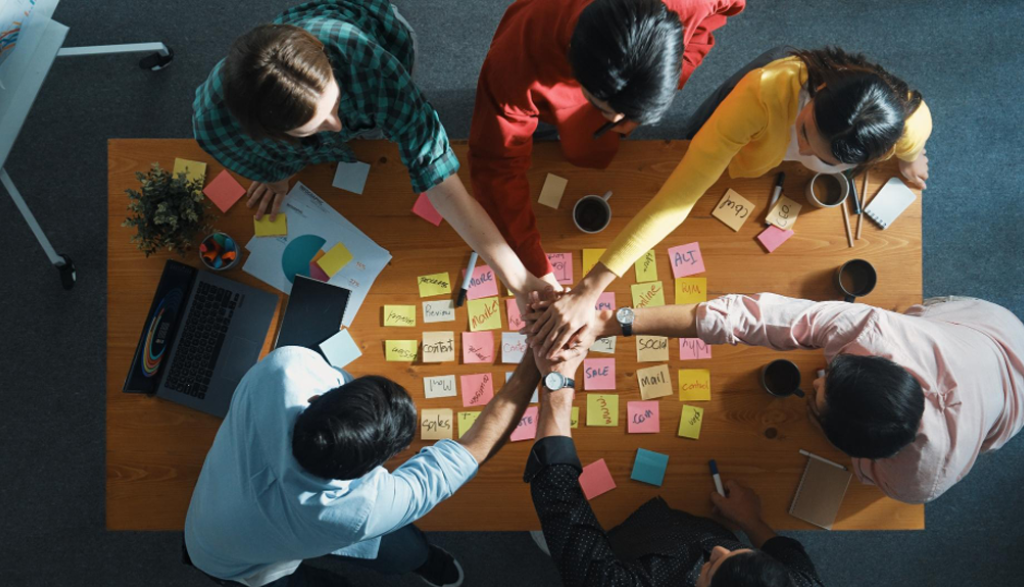 diseño organizacional x